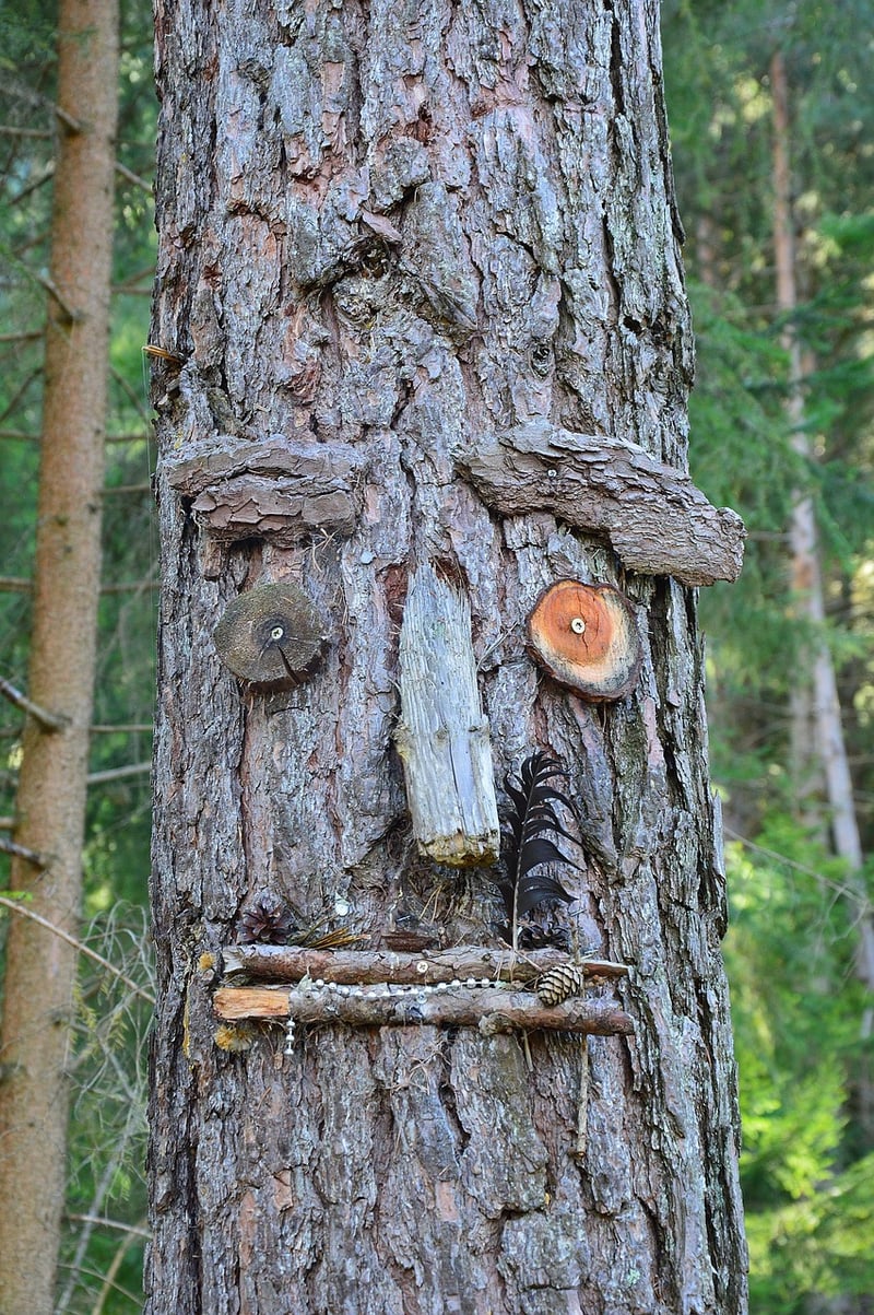 Wish Tree