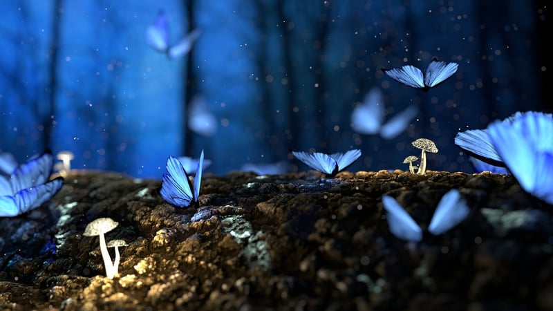 Magical Grove